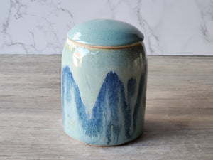 Handmade ceramic pot with a lid for tea or spices 