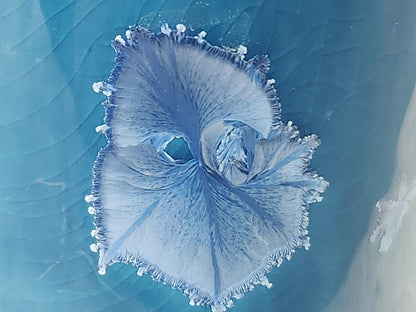 Macro shot of pale crystal bloom pattern on handmade blue bud vase glaze
