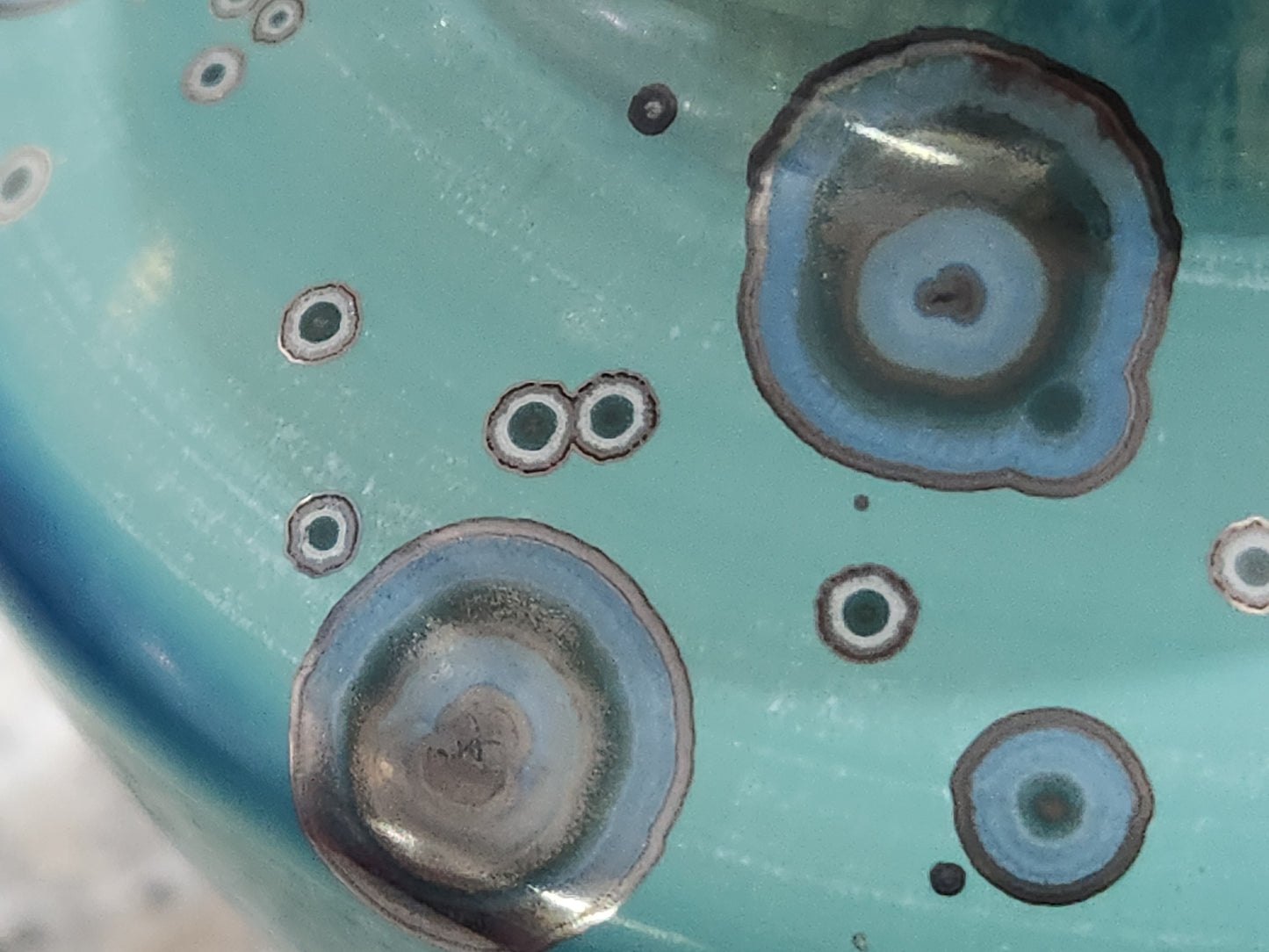 Close up of Mini bud vase angled side view showing crystal clusters and blue-green colour fade