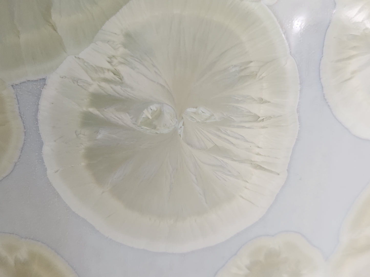 Close up of gold crystalline bloom on white ceramic vase handmade pottery