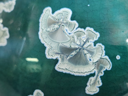 Close-up of a pale crystal with fine fan-like markings and a soft blue outline against teal-green glaze.