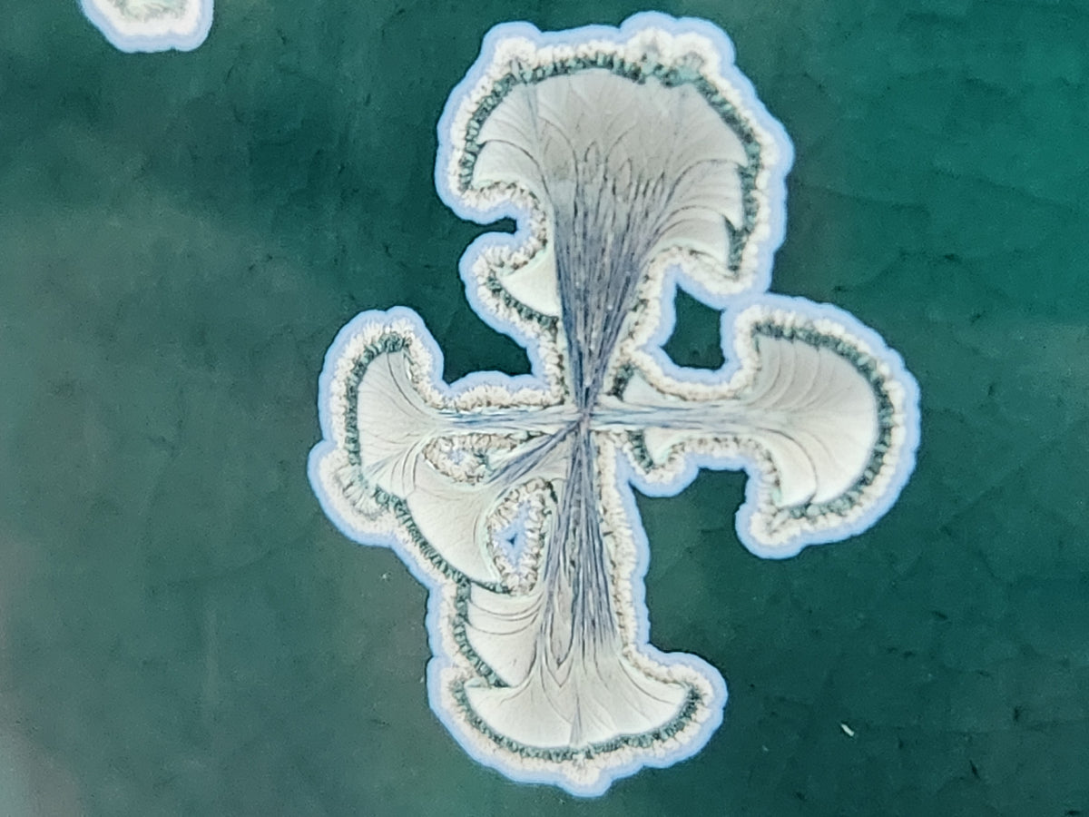 Close-up of overlapping pale crystals on the deep green ceramic glaze.