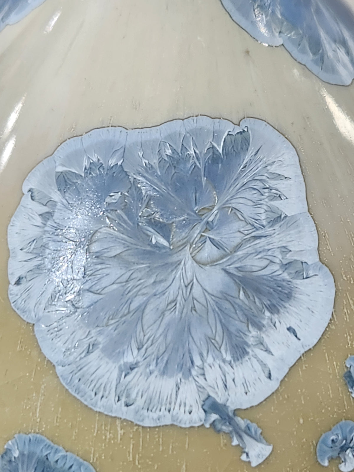 Close-up of large overlapping pale blue crystals across the rounded belly.