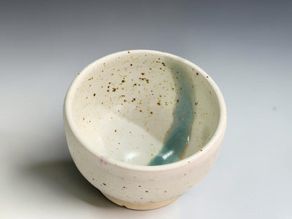 Interior view of an empty cream pottery bowl showing brown speckles and a flowing teal glaze band.
