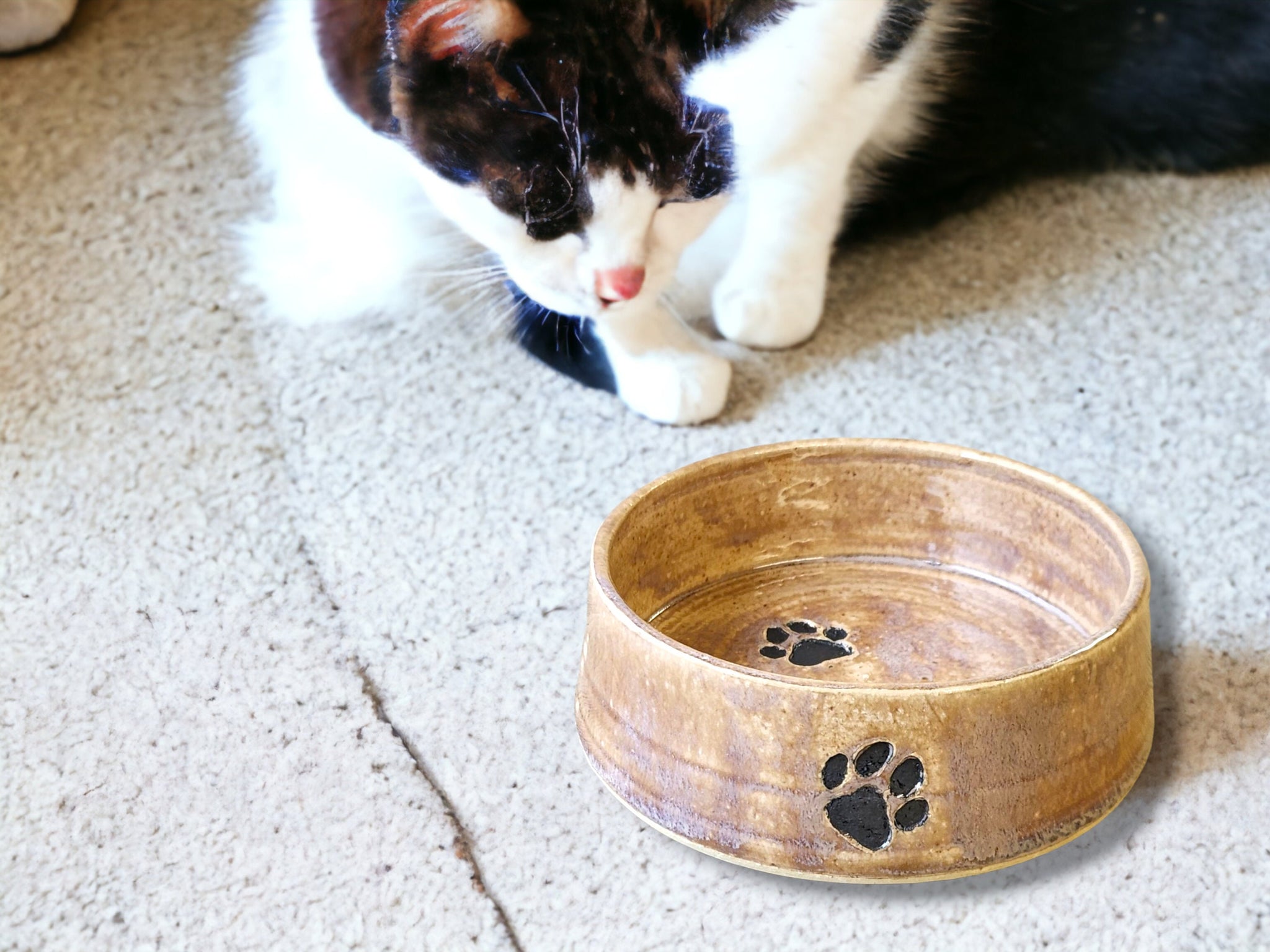 Hand-made Pottery pet bowl - Ceramic Pet water bowl with paw prints - high-sided plate for your fur baby - cat feeder.-