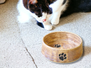 Hand-made Pottery pet bowl - Ceramic Pet water bowl with paw prints - high-sided plate for your fur baby - cat feeder.-