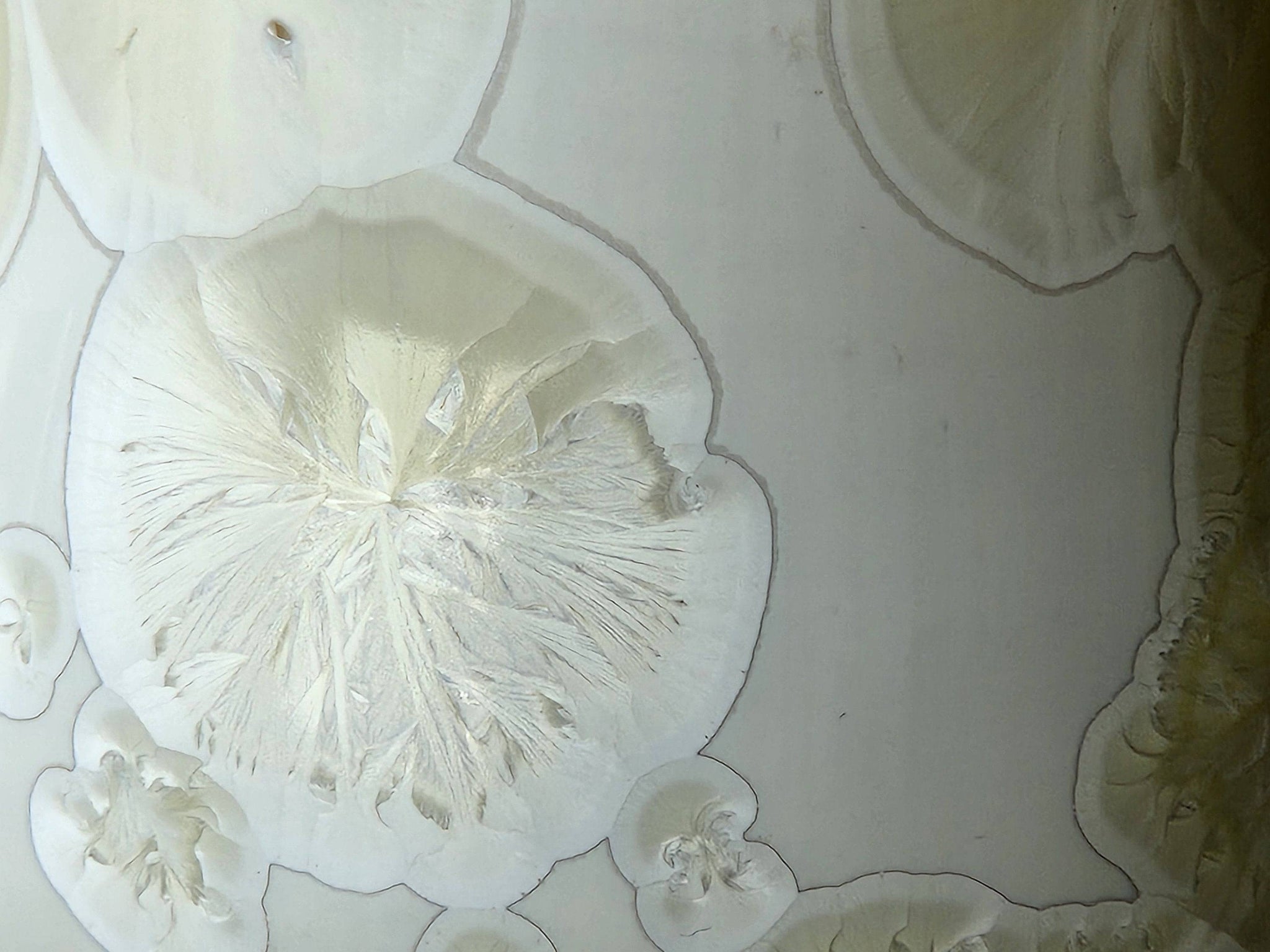 Unique crystalline ceramic coffee cup Melbourne studio