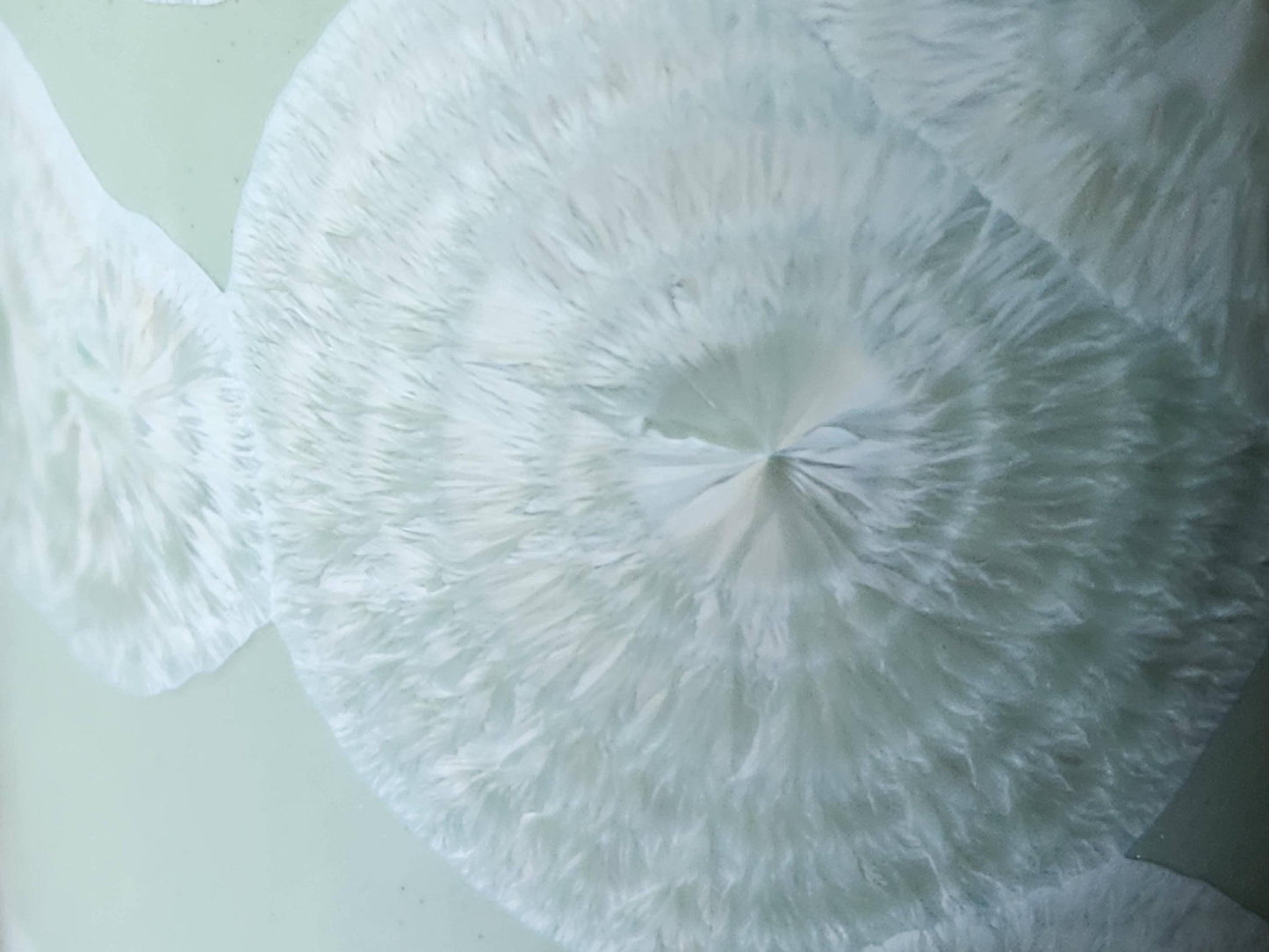 Close up of glaze showing rings of flower like crystals on a  Handmade Australian crystalline cylinder vase – soft green and white