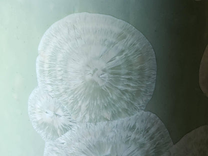 Close up of feathery flower like crystals on a one-of-a-kind green crystalline pottery tumbler – handmade in Australia