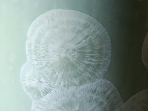 Close up of feathery flower like crystals on a one-of-a-kind green crystalline pottery tumbler – handmade in Australia