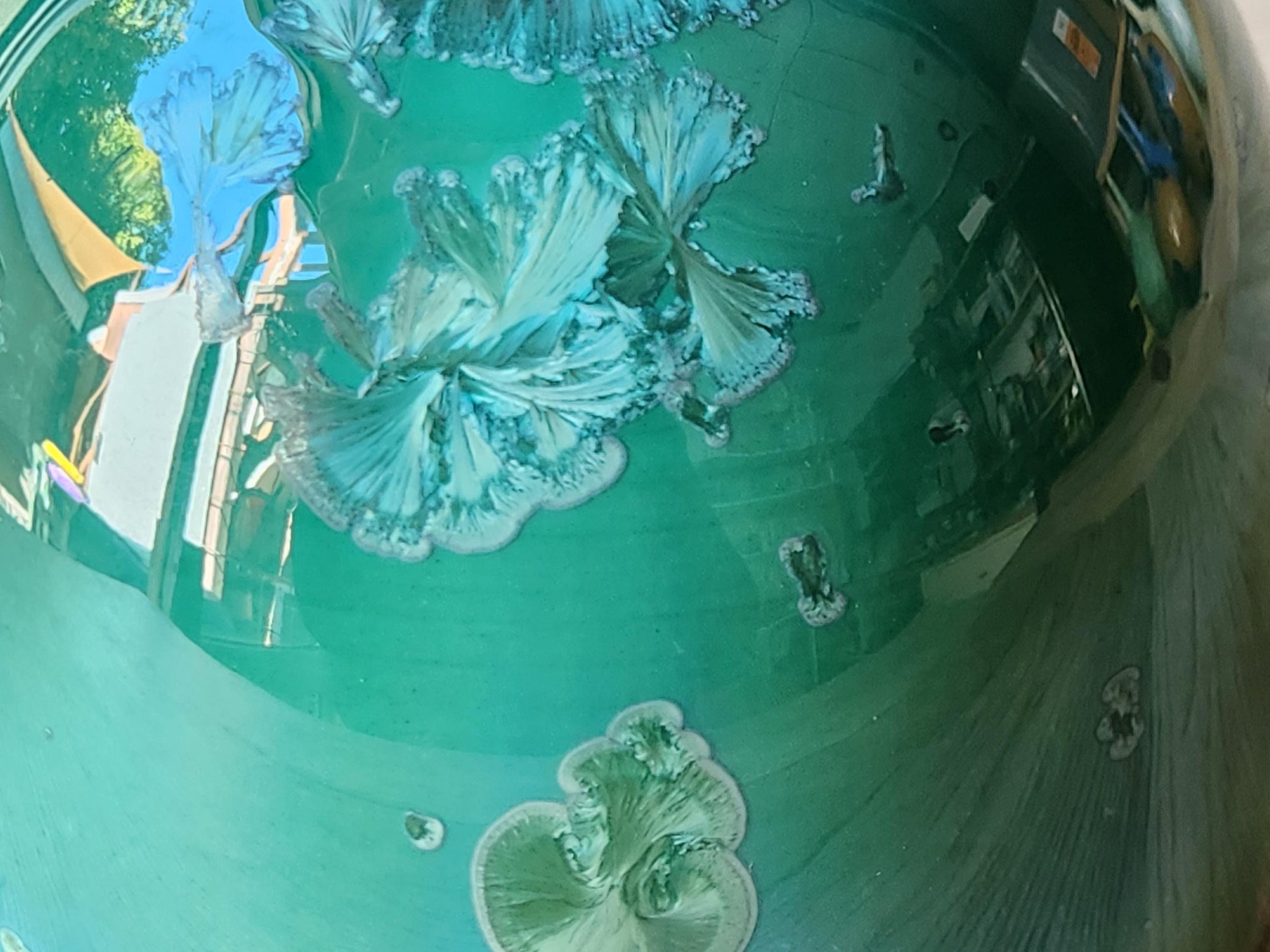 close up of crystals on Wheel-thrown porcelain bowl with glossy green interior glaze