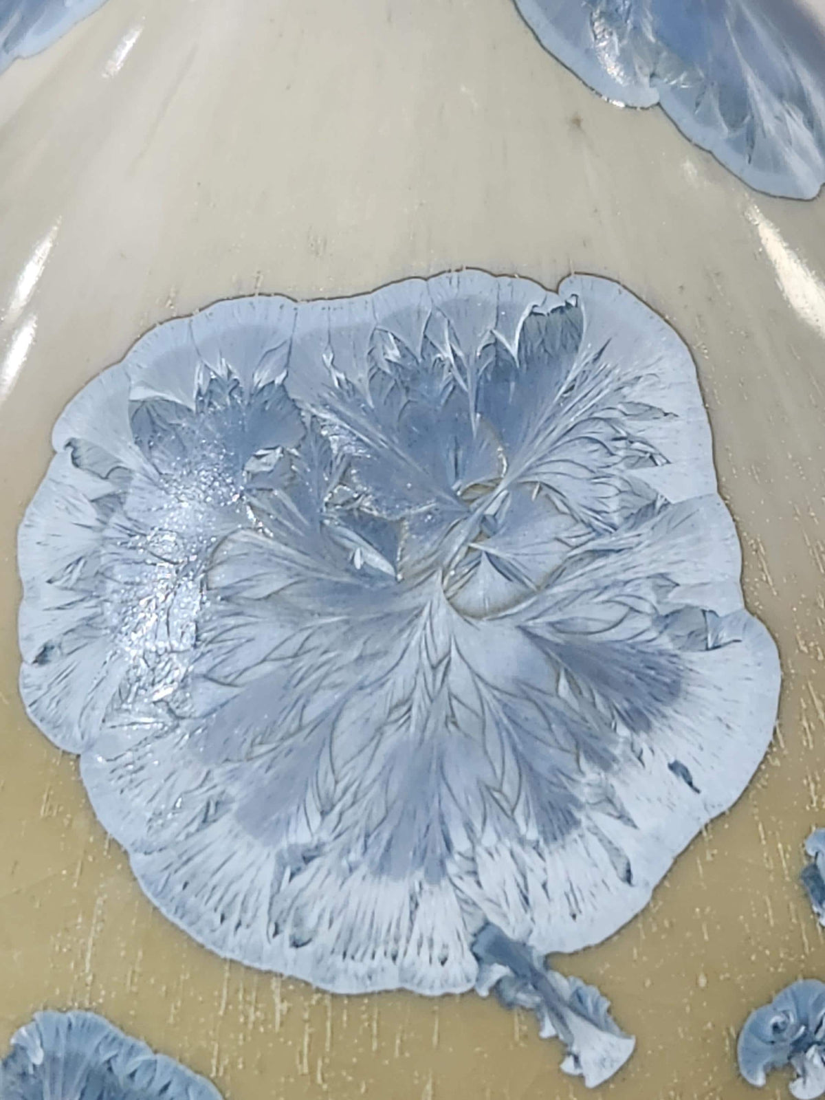 Close-up of large overlapping pale blue crystals across the rounded belly.