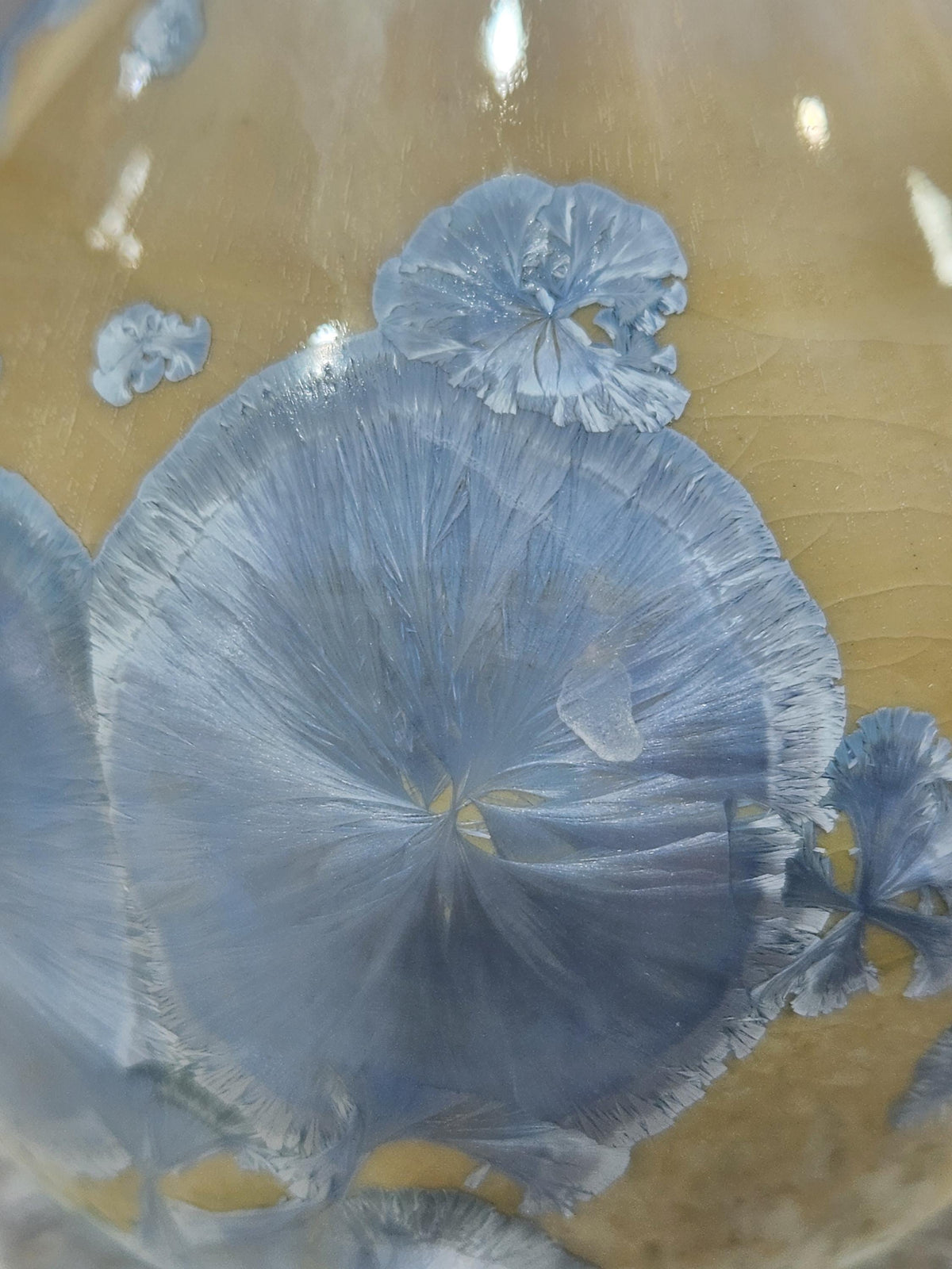 Close-up of soft blue crystals with fine radiating lines on a warm cream ceramic glaze.