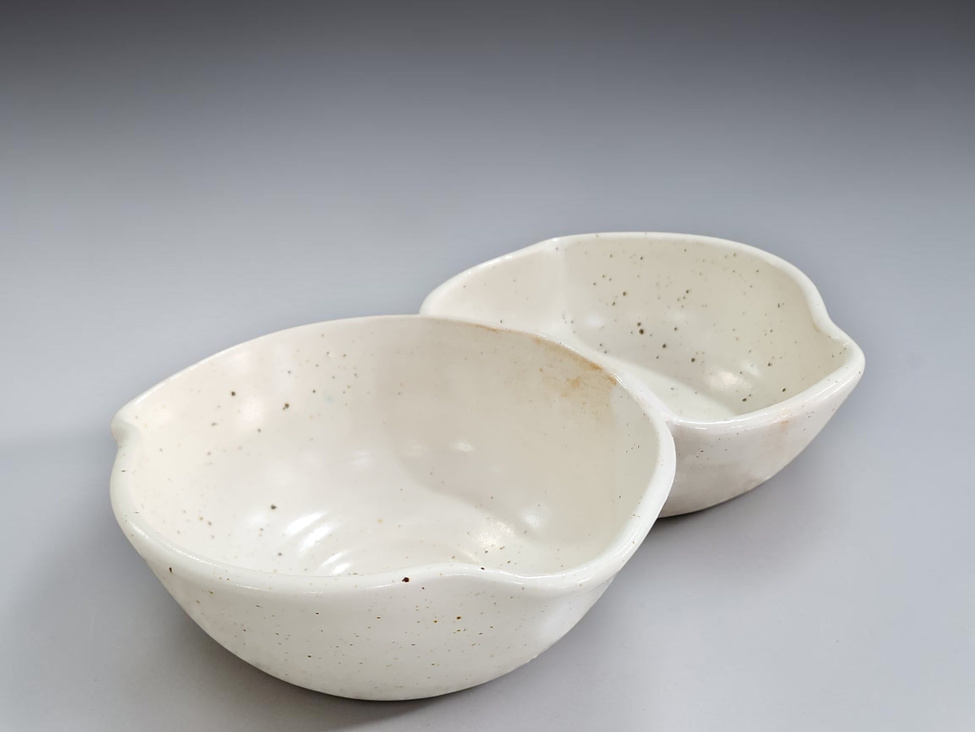Ceramic entertaining bowl with two connected sections