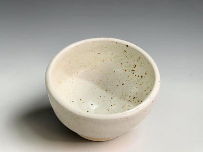 Interior view of an empty ceramic bowl showing ivory glaze and natural brown speckles.